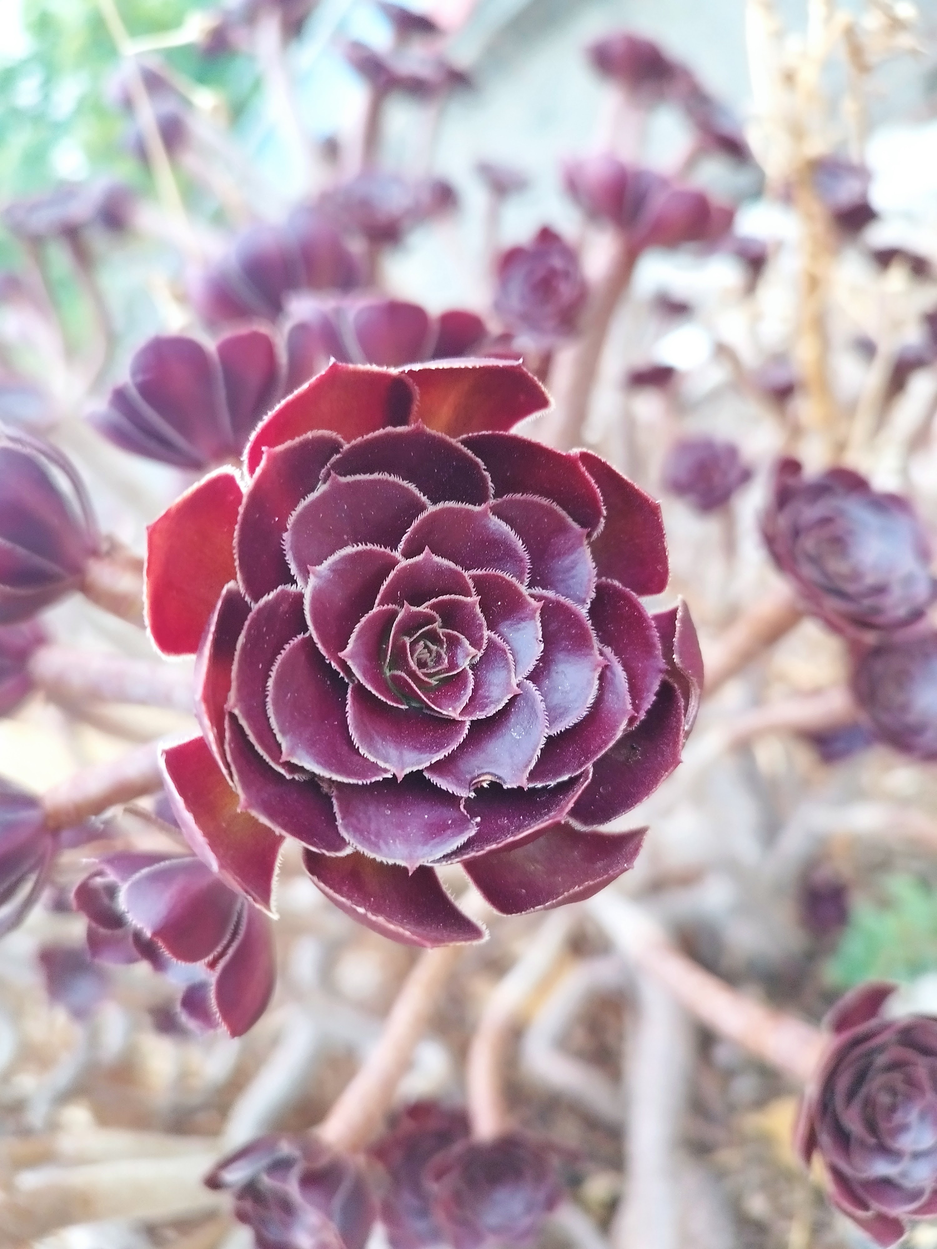 Photo September 2022