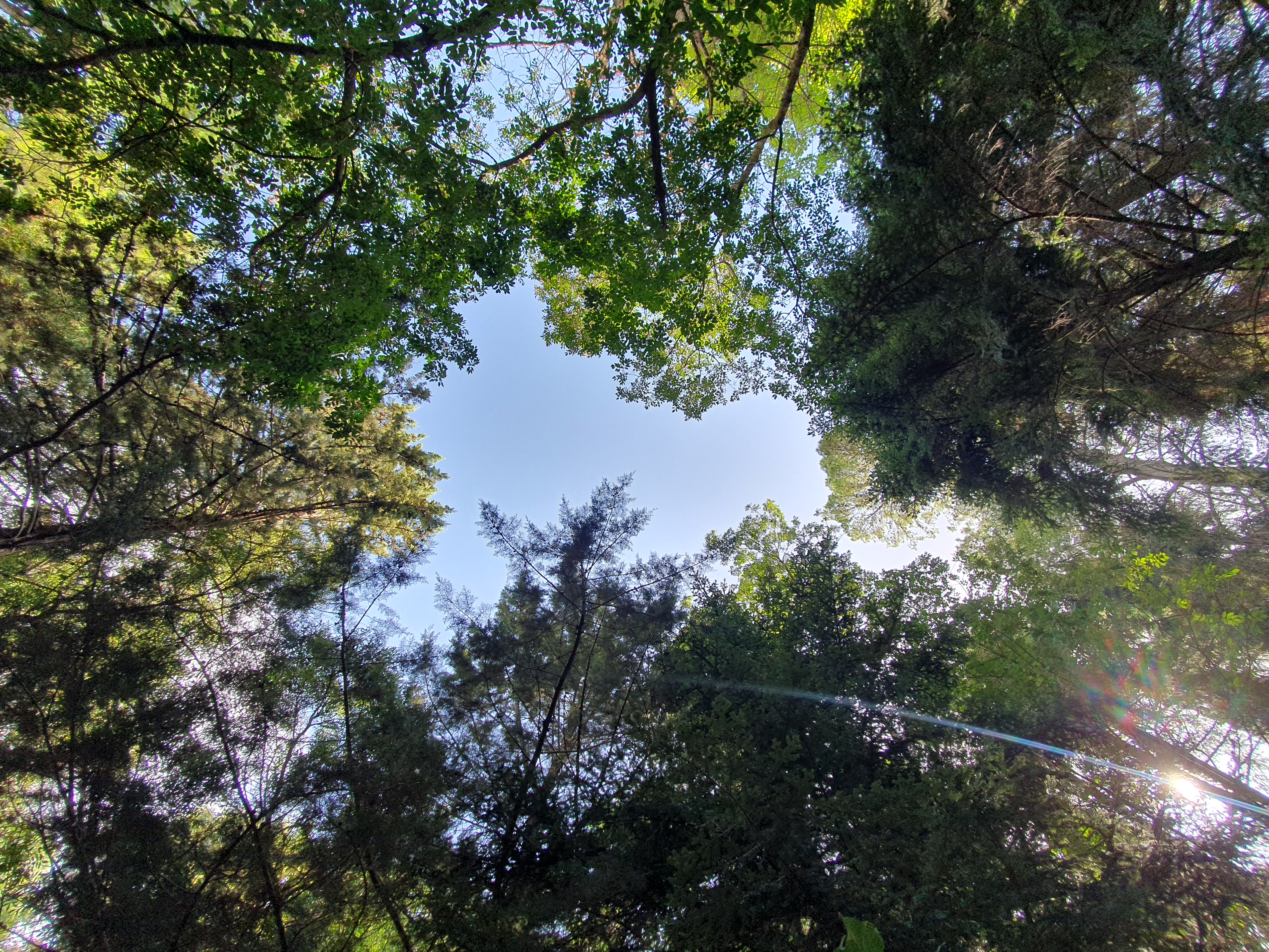 Photo September 2025